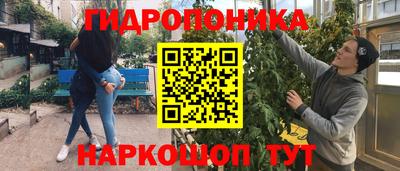 прущие грибы Славянск-на-Кубани