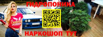 дистиллят марихуана Сланцы