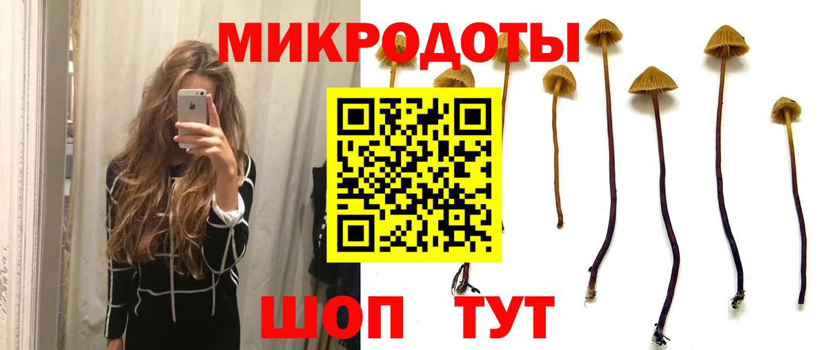 Муром  где купить наркотик  Псилоцибиновые грибы Magic Shrooms  Вход с VPN  Галлюциногенные грибы Magic Shrooms 